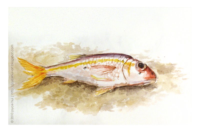 800x533 A R T P O O P A G E Jamaica Doodlings