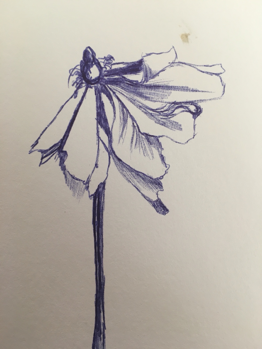 Download Dead Flower Drawing at GetDrawings.com | Free for personal ...