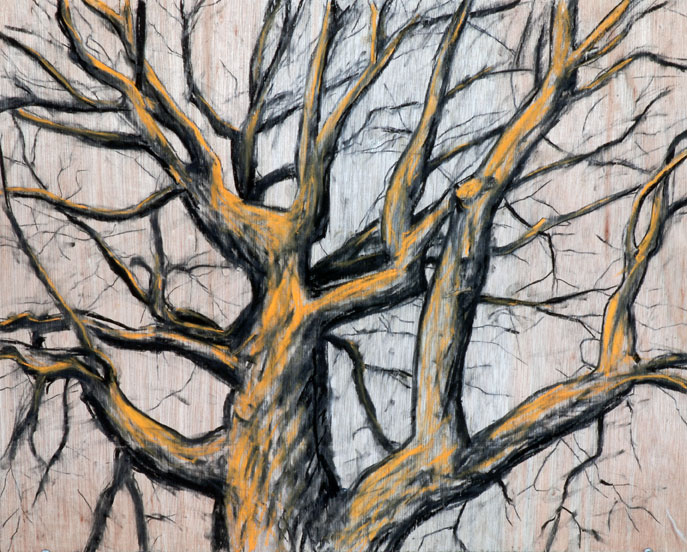 687x552 Pics For Gt Dead Oak Tree Drawings Tree Sketches