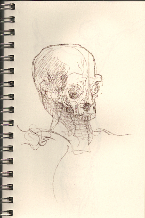 562x845 Plentiful As Blackberries Steve Morrison Illustration I Draw