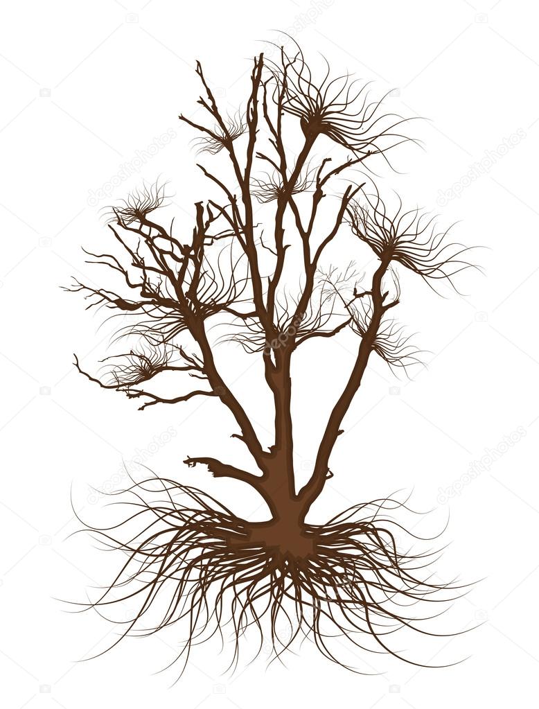 778x1023 Dead Tree Drawing Vector Stock Vector Baavli