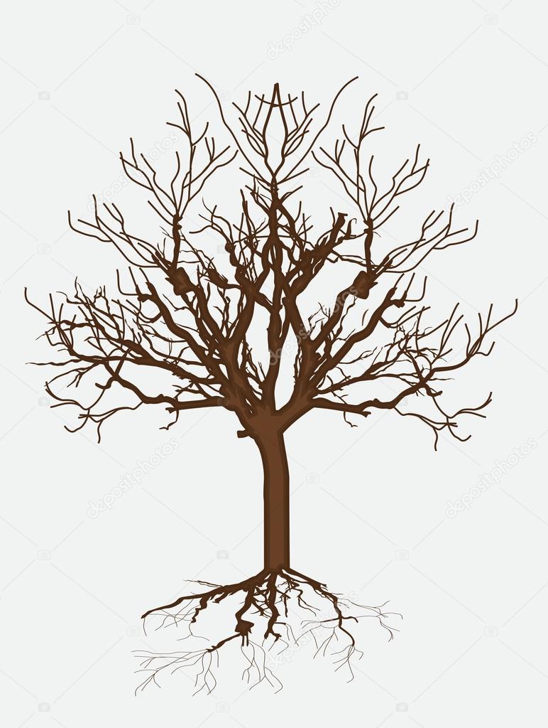 772x1024 Desenho De Morta Vetor De Stock Baavli