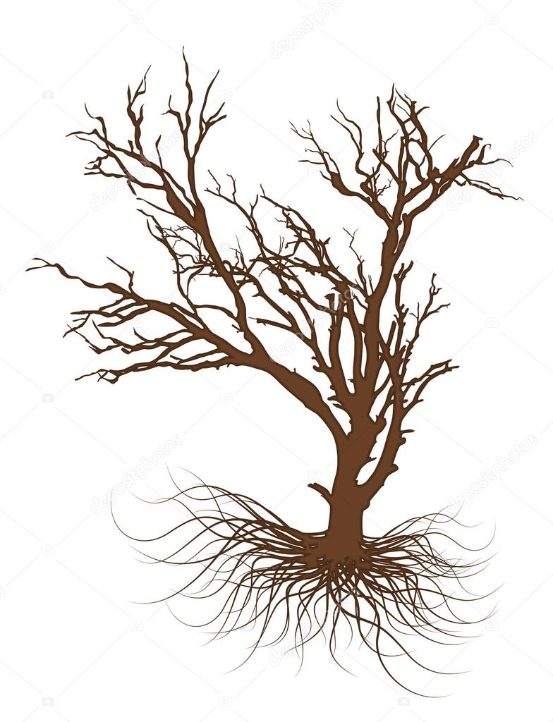784x1024 Drawing Of Dead Tree Stock Vector Baavli