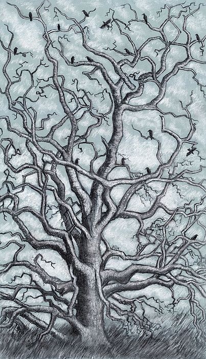 403x700 The Dead Tree Charcoal And Chalk.