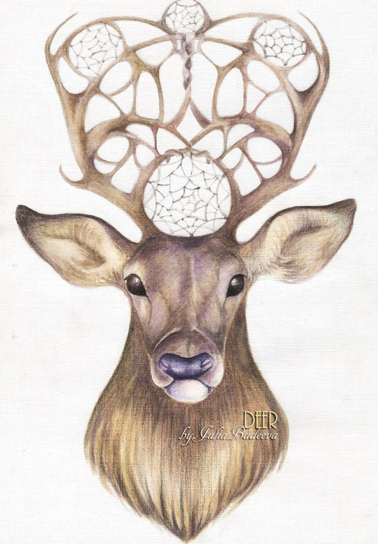 745x1072 Deer Pencil Drawing By Juliabadeeva
