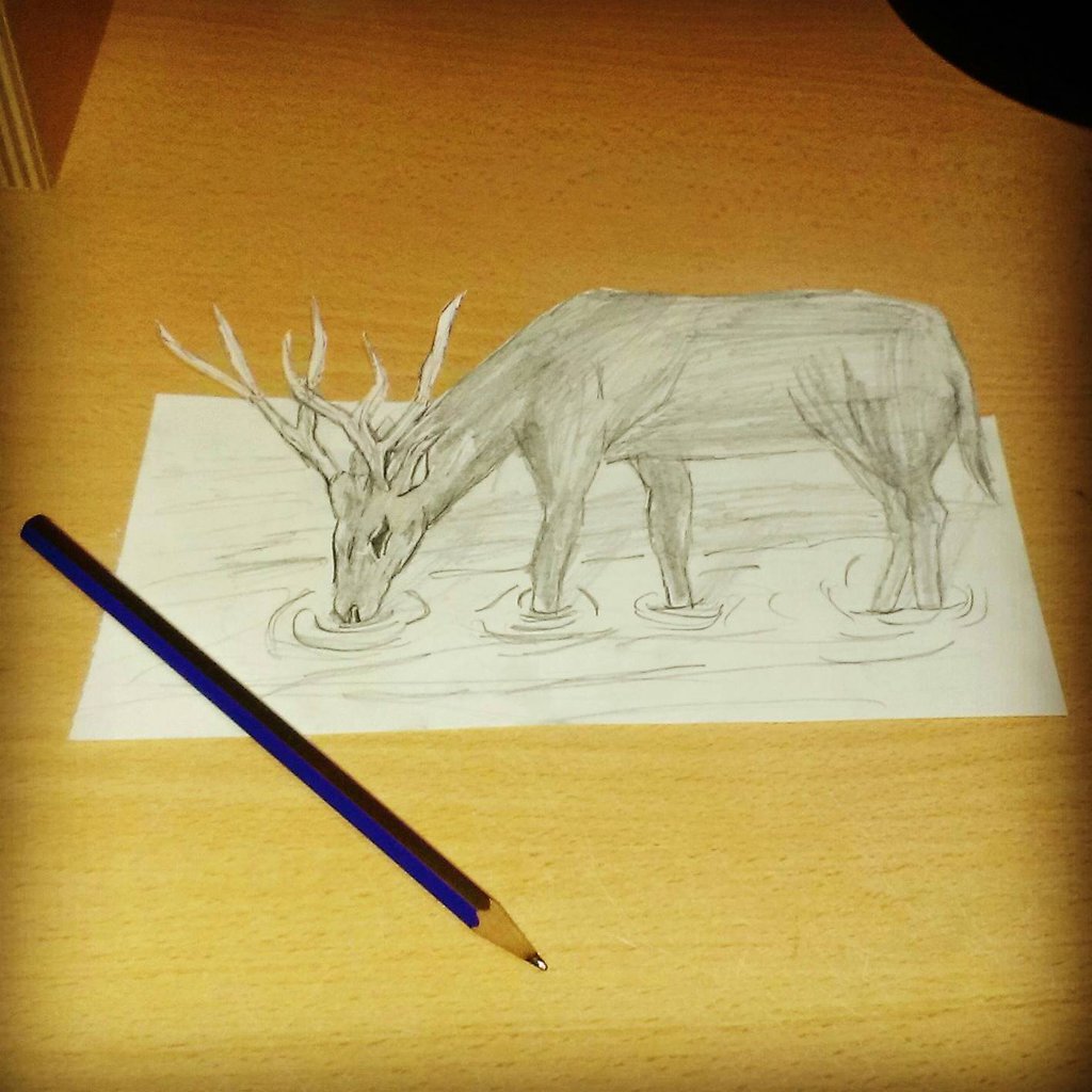 1024x1024 Drawing 3d Deer Trick Art By Peace13art