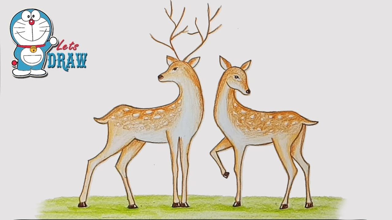 1280x720 How To Draw Two Deer Step By Step