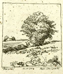 250x295 How To Draw Deciduous Trees Artwork Ideas