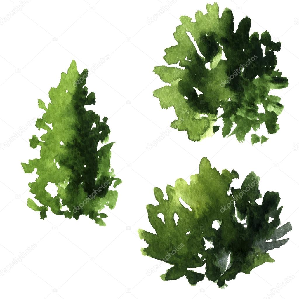 1024x1024 Set Of Different Deciduous Trees Stock Vector Cat Arch Angel