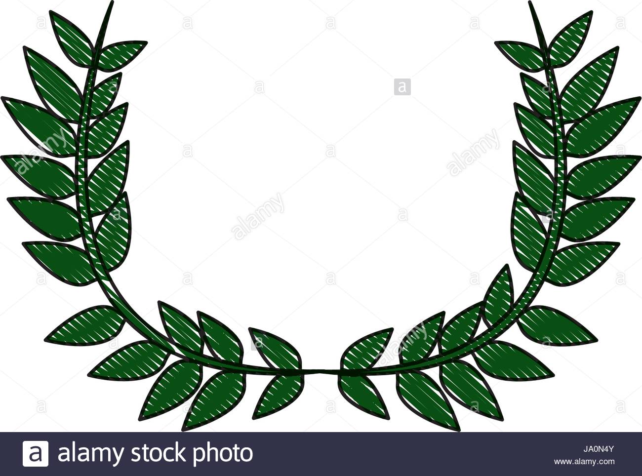 1300x964 Drawing Crown Half Flower Natural Decoration Laurel Leaves Stock
