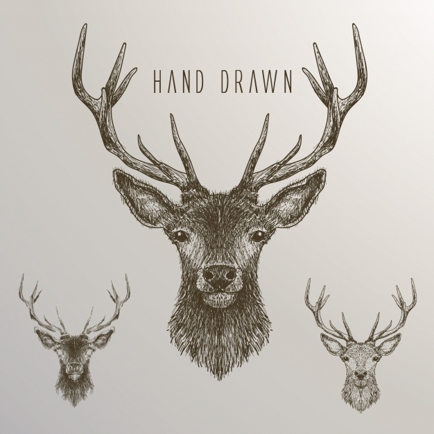 626x626 Hand Drawn Deer Collection Vector Free Download