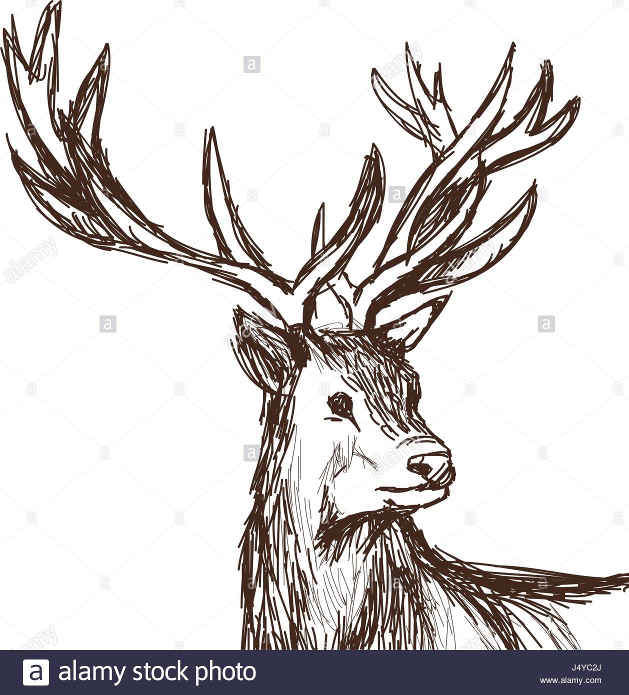 1258x1390 Hand Drawn Deer Big Antlers, Wildlife Poster. Face Graphic Sketch