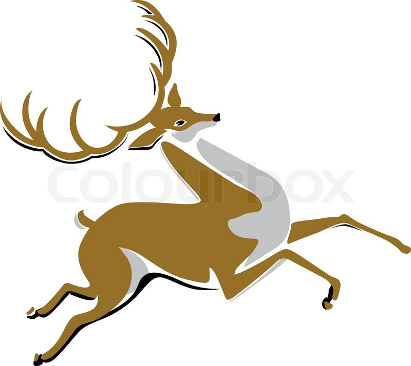 800x714 Cartoon Running Deer. Vector Illustration Stock Vector Colourbox
