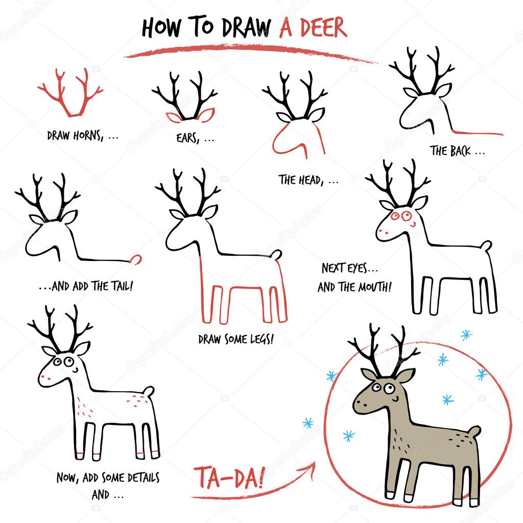 1024x1024 How To Draw A Deer Stock Vector Martimar