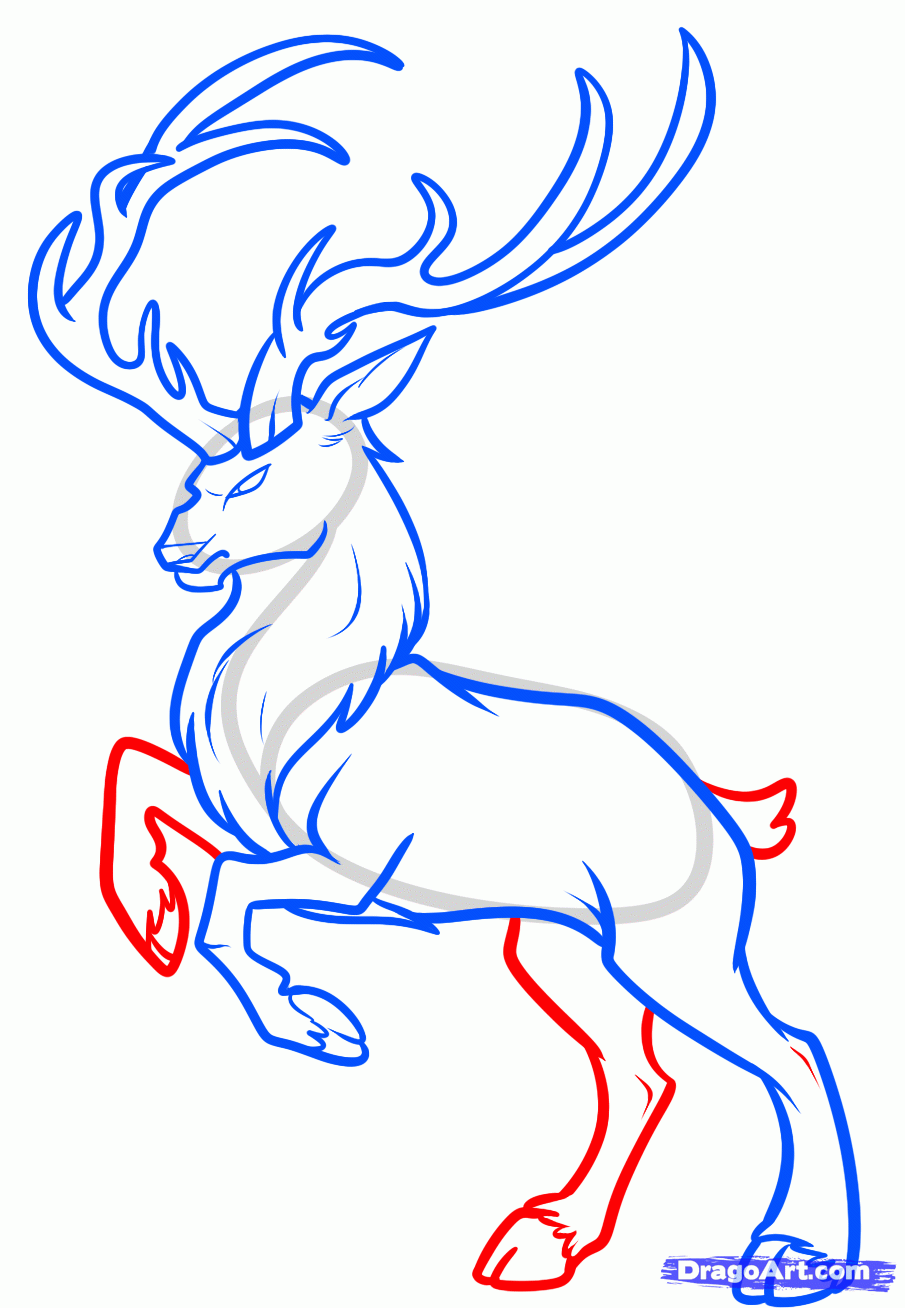 How to Draw a Buck Deer (Wild Animals) Step by Step