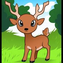 220x220 How To Draw How To Draw A Deer For Kids