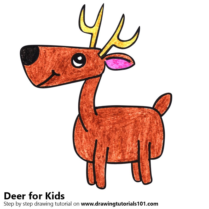 800x800 Learn How To Draw A Deer For Kids (Animals For Kids) Step By Step