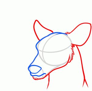 302x299 How To Draw A Deer Head How To Drawings, Death Art