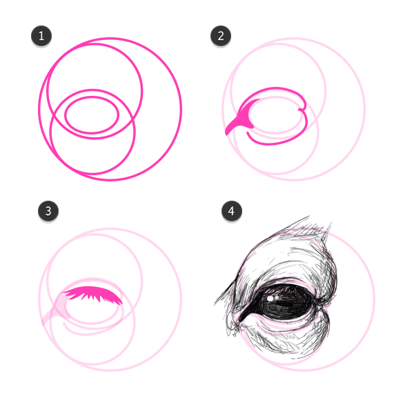 600x580 Cow Eyes Art Lessons Deer Eyes, Eye And Cow