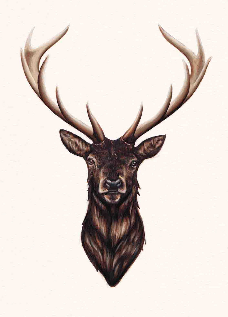 739x1024 Stag Antlers, Darkness And Stag Head