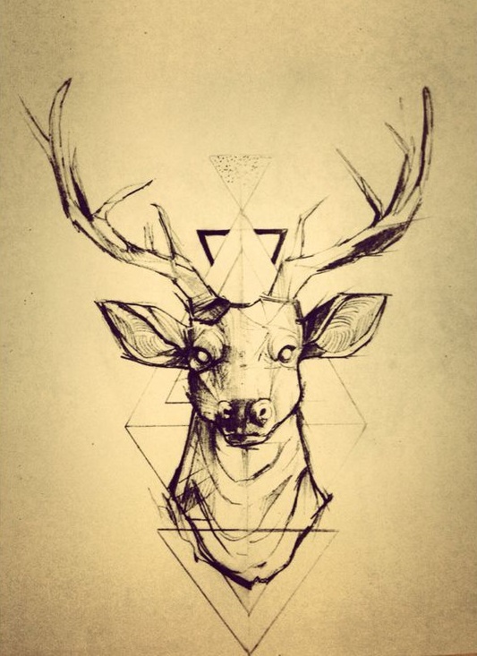 533x733 Deer Face Drawing