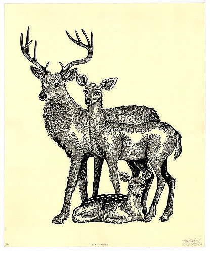 415x500 Deer Family New Print! Deer Family Is A 17 X 14
