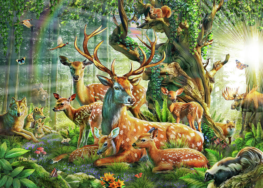 900x642 Deer Family In The Forest Drawing By Adrian Chesterman