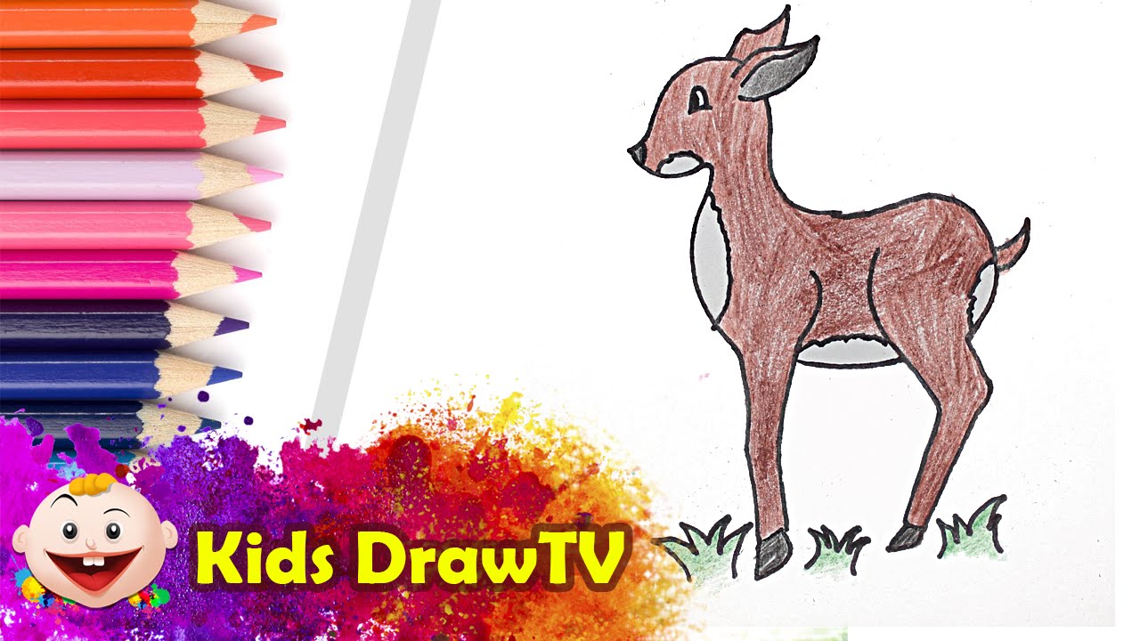 1280x720 Drawing For Kids How To Draw Deer Fun To Draw
