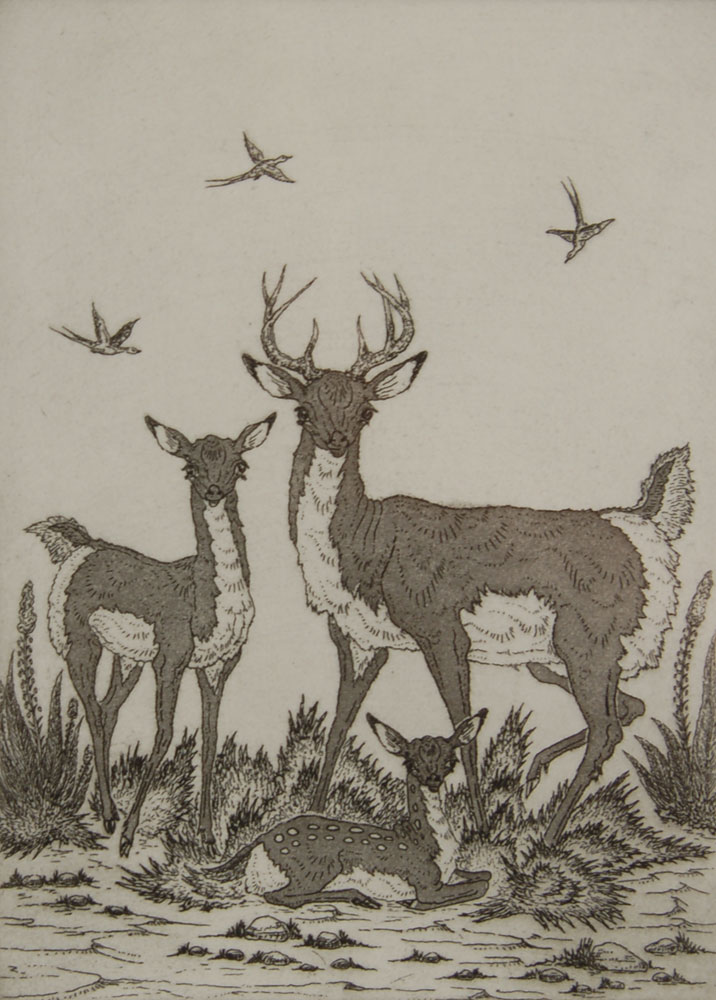 Deer Family Drawing at GetDrawings | Free download