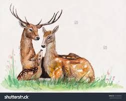 251x201 Deer Family Drawing