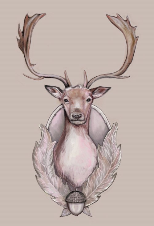500x731 Illustrations Amp Paintings By Marjolein Caljouw Deer Head.