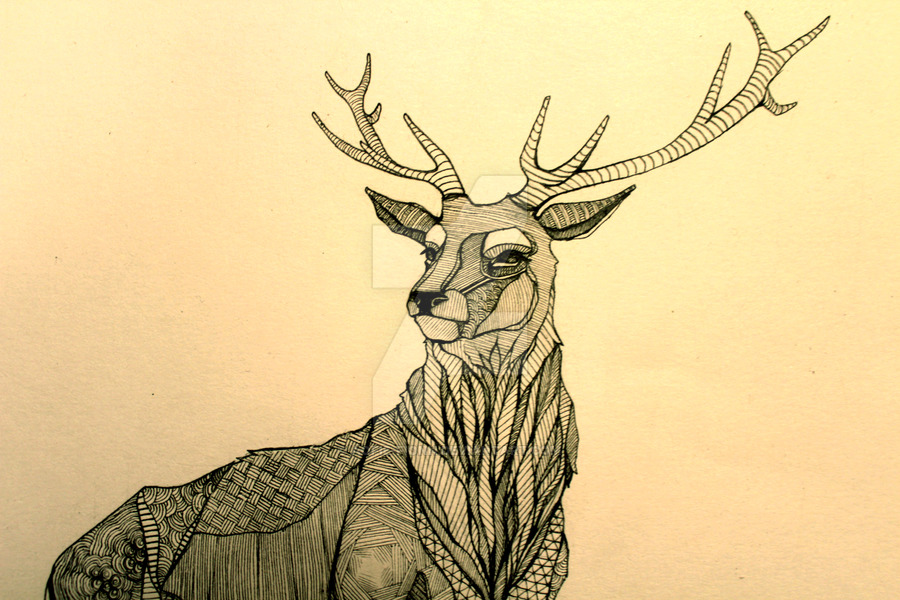 900x600 Stag By Aofie Fionn