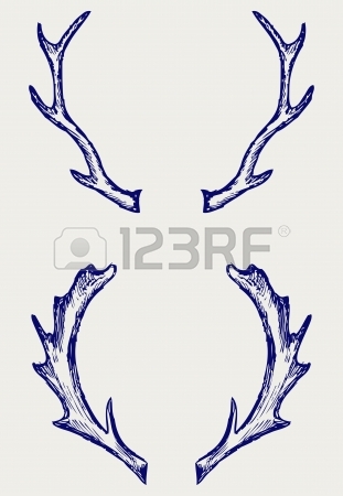 311x450 Vector Deer Antlers Isolated On White Royalty Free Cliparts