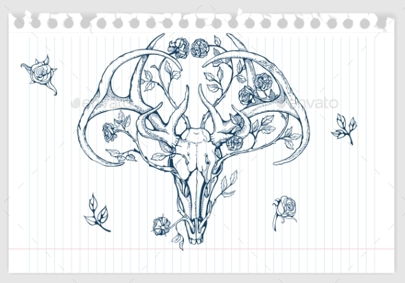 590x413 Drawing Of Deer Skull With Horns Decorated By Nadiiaz Graphicriver