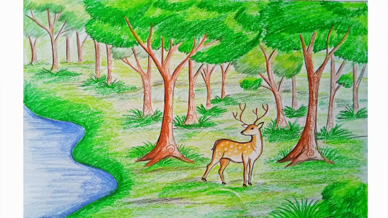 1280x720 How To Draw Forest Scene Step By Step (Very Easy)