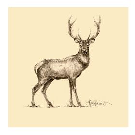 280x280 Deer Drawing Sewing Deer Drawing, Drawings