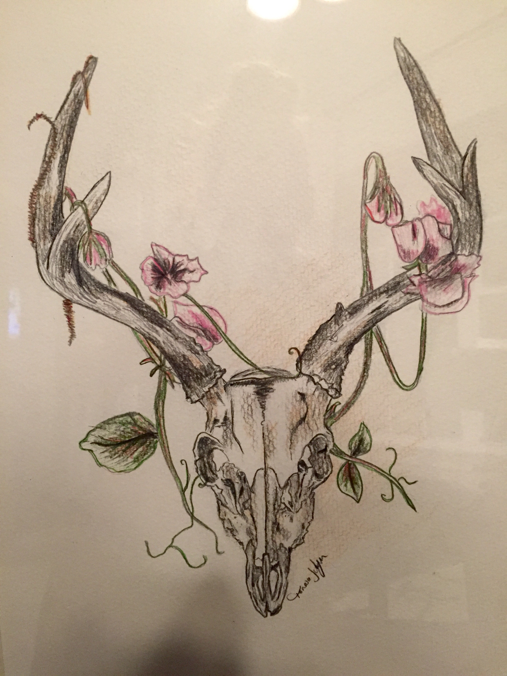 1000x1334 Deer Skull Drawing My Homemade Projects Deer Skull