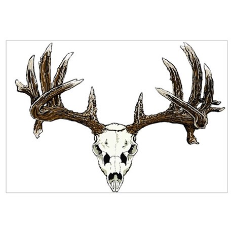 460x460 Tail Deer Skull Drawing Canvas Art