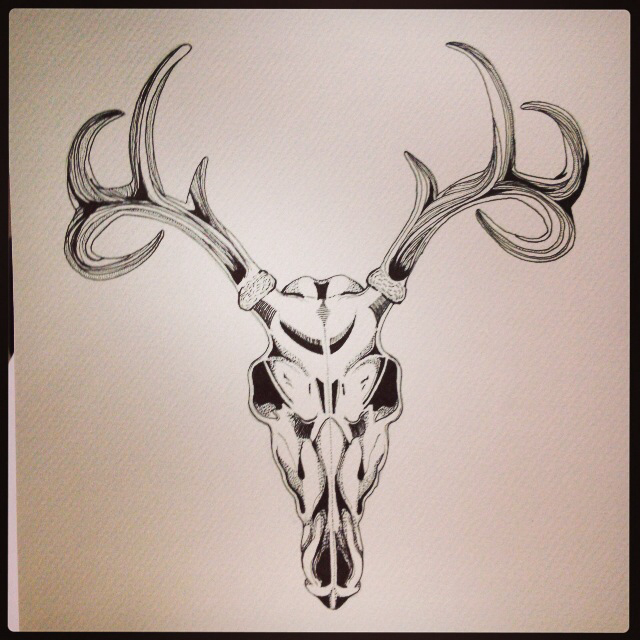 640x640 Deer Skull Drawing Done In Ink Pen Art Is For Winners