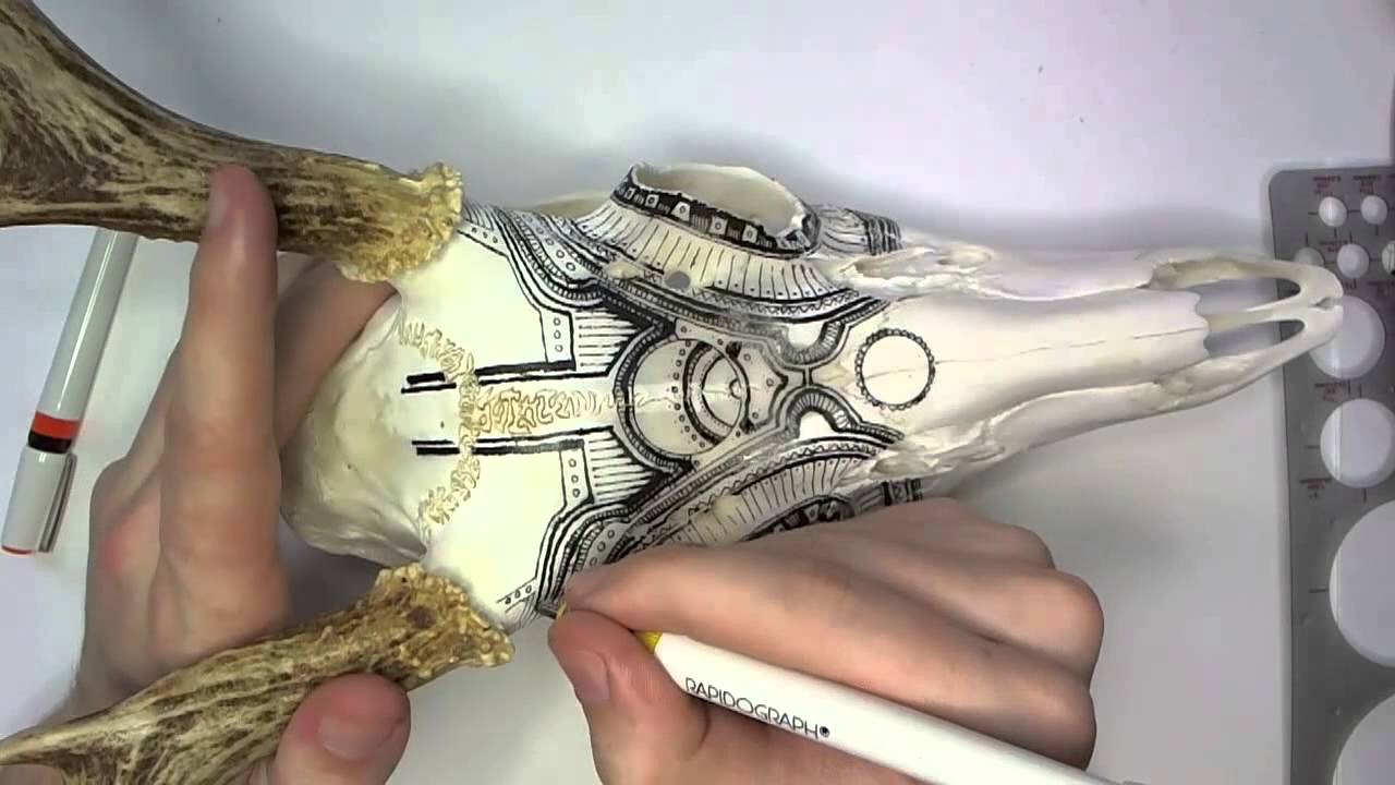 1280x720 Drawing On A Deer Skull