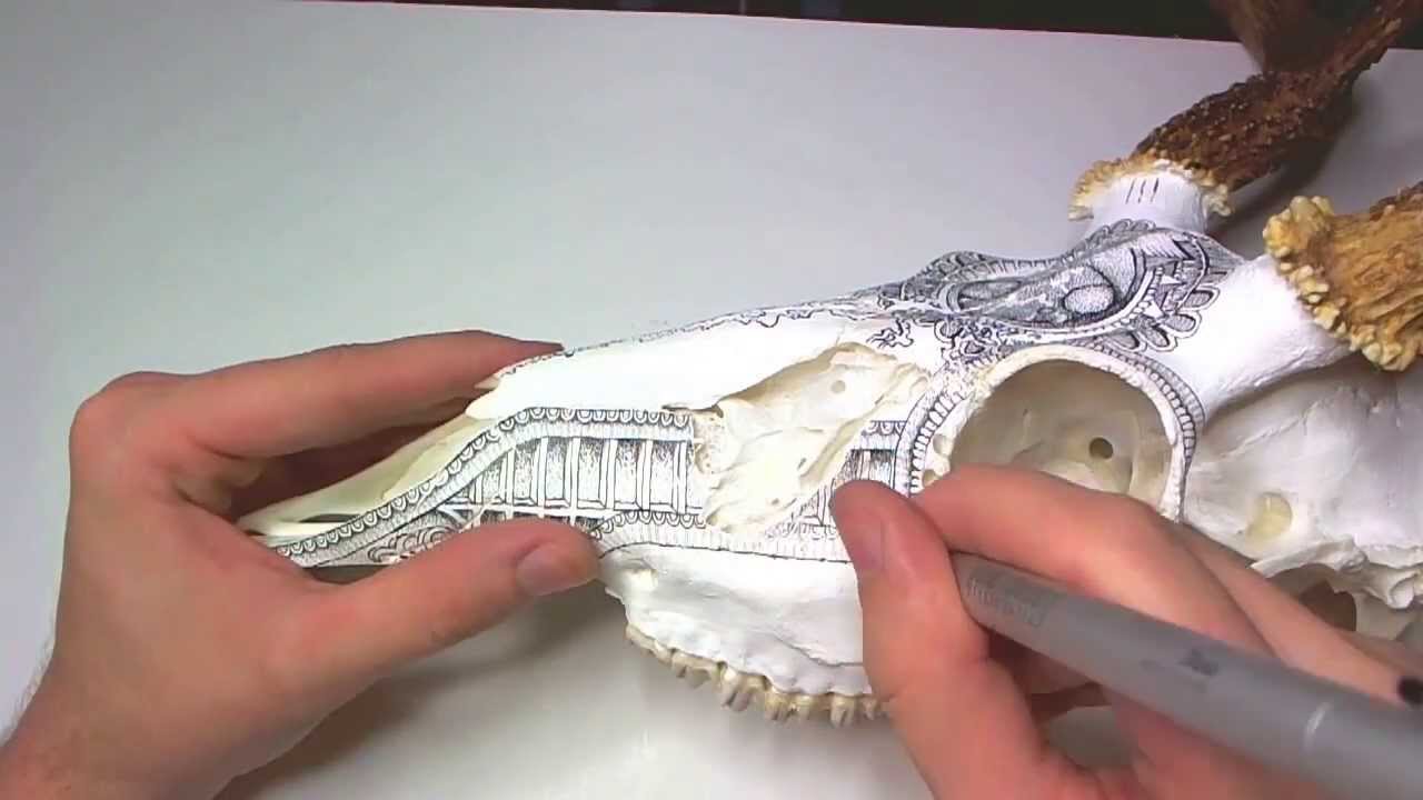 1280x720 Drawing On A Deer Skull