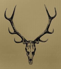 236x267 Elk Skull Rack Tattoo Elk And Tattoo