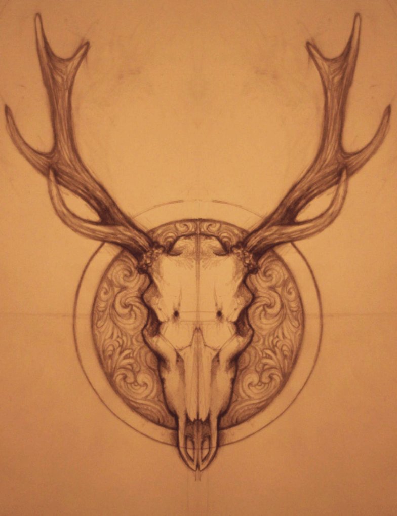 784x1019 Deer Skull By Namisis D51mwm2.png My To Do
