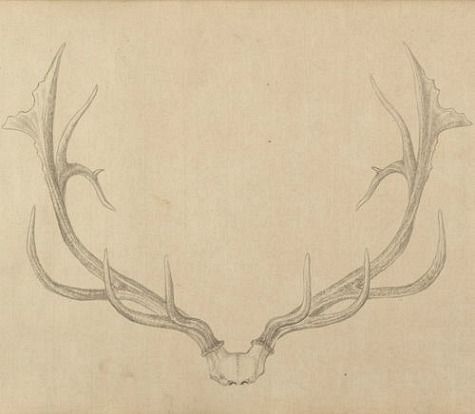 475x414 Qianlong Emperor, Painting Of Deer Antlers (1762 67) The White