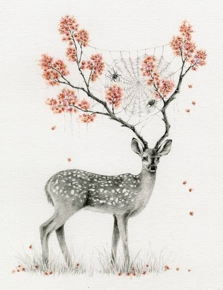 447x583 Artwork, Courtney Brims, Deer, Deers, Drawing, Flower Learning