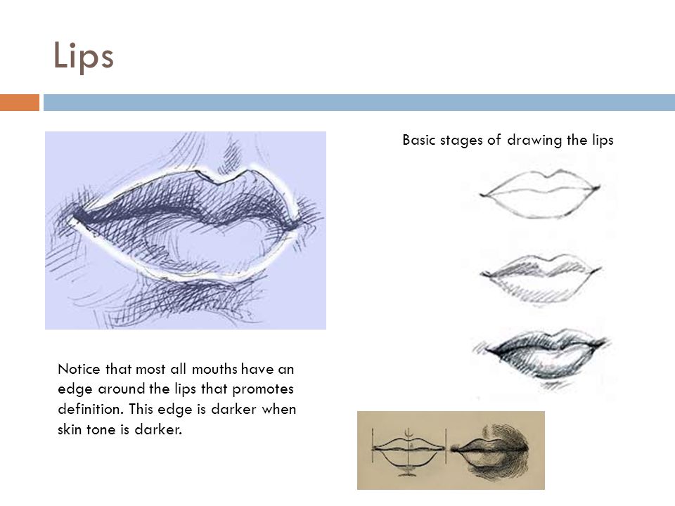 960x720 Portrait Drawing The Face.