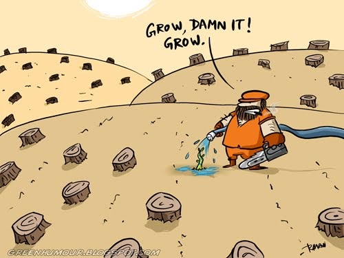 500x375 Image Result For Afforestation And Deforestation Drawings