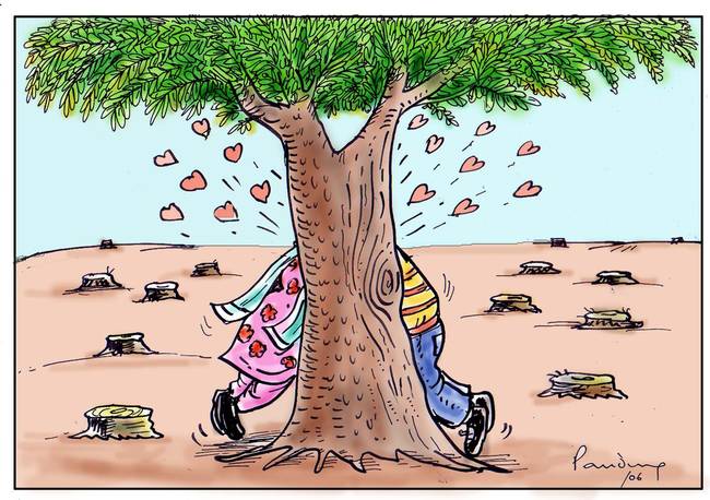 650x458 Love Birds By B V Panduranga Rao