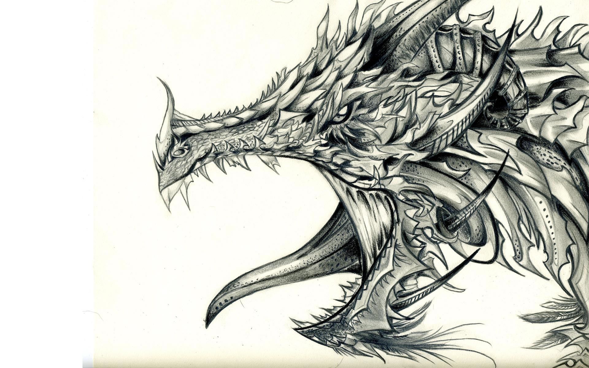 1920x1200 Dragon Drawing Wallpaper For Pc
