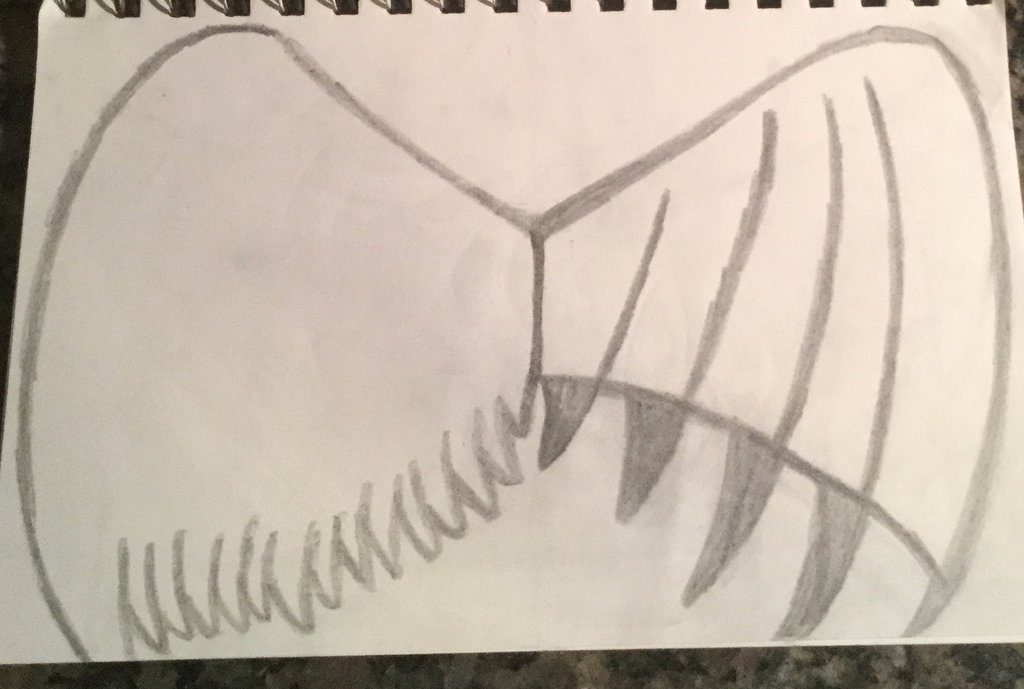 1024x689 Pencil Sketch Angel And Demon Wings By Epicannie